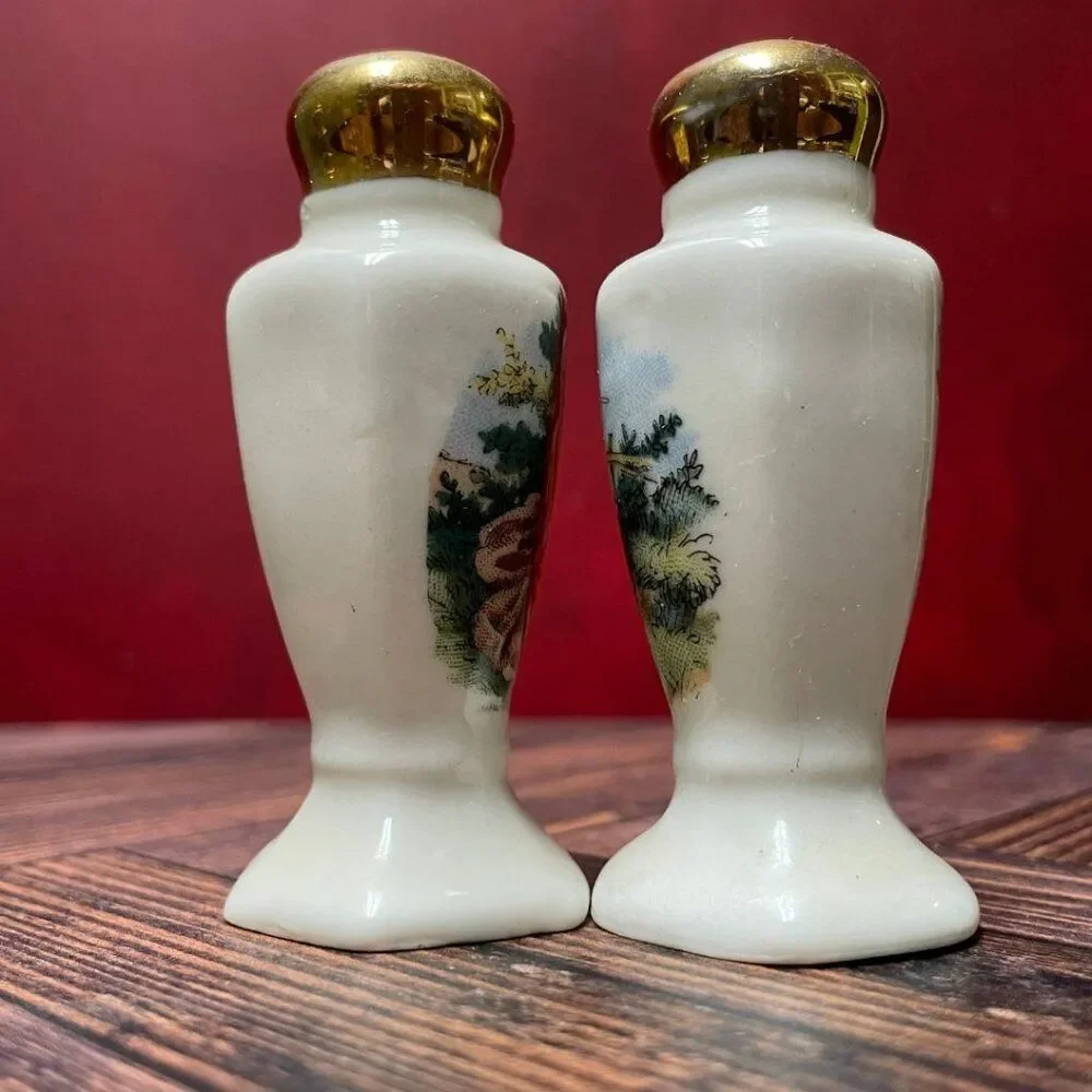 Vintage 1950s Souvenir Colonial Salt & Pepper Shakers (Set of 4) Pres.Washington